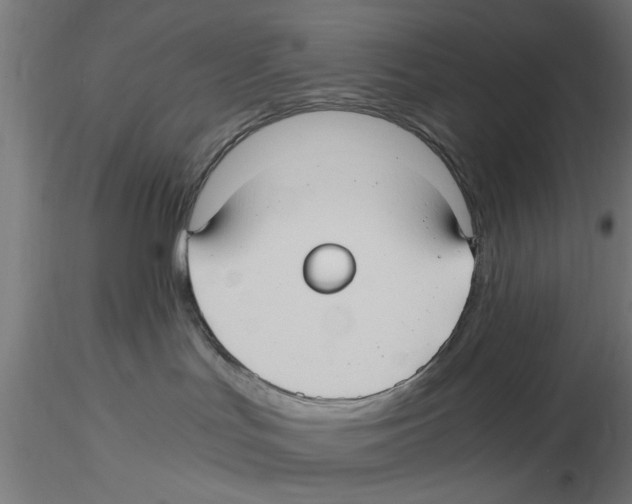 X0000116480047201001061129