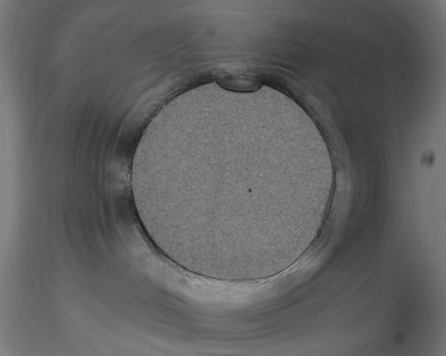 X0000116480048201001061129