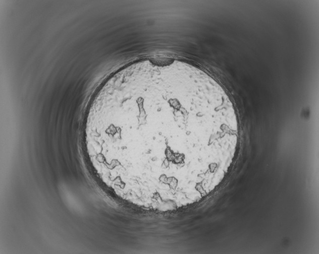 X0000116480049201001061128