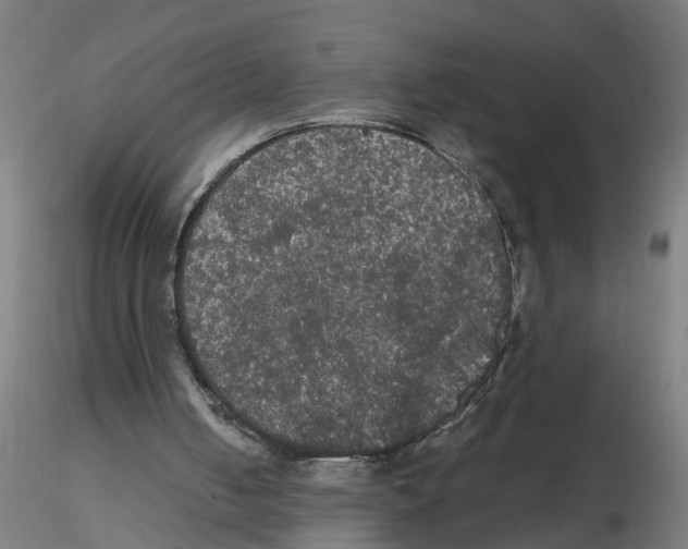 X0000116480050201001061128