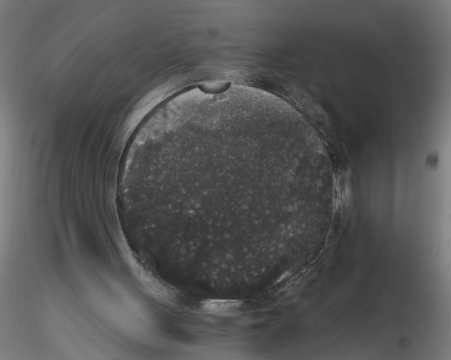 X0000116480051201001061128