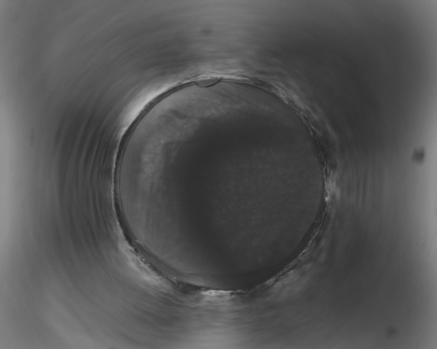 X0000116480052201001061128