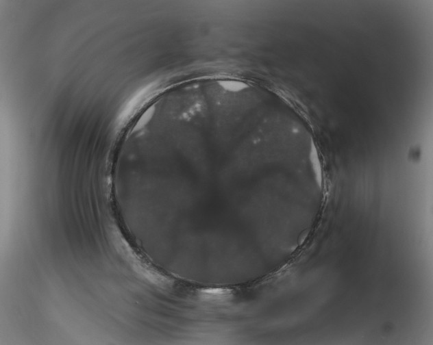 X0000116480053201001061128