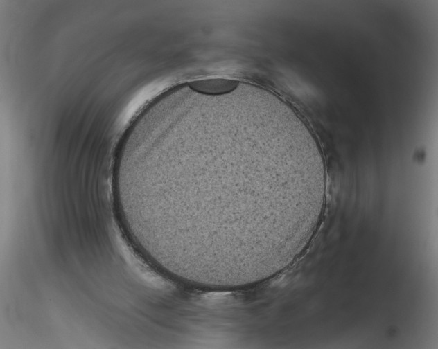 X0000116480054201001061128