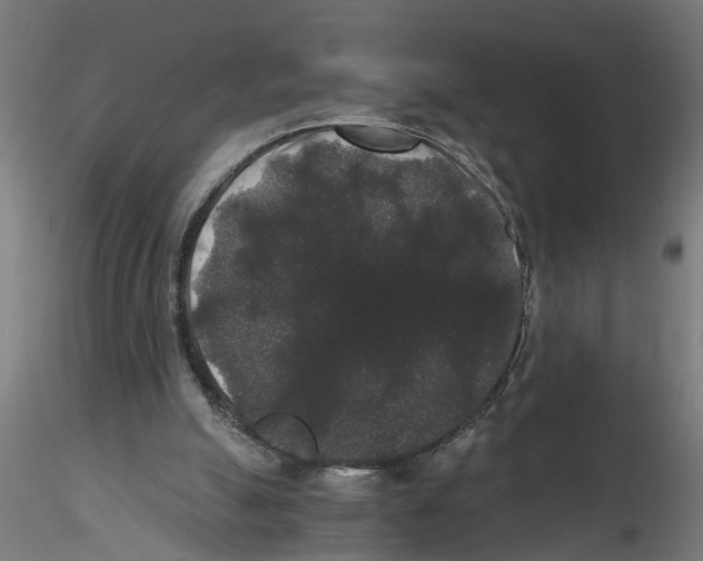 X0000116480055201001061128