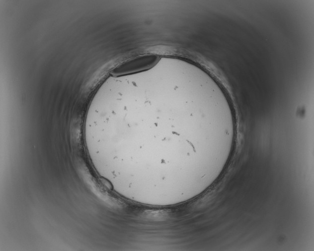 X0000116480057201001061128