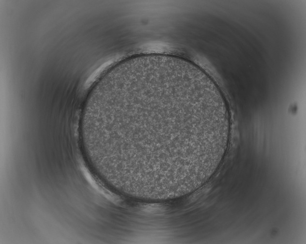 X0000116480058201001061128