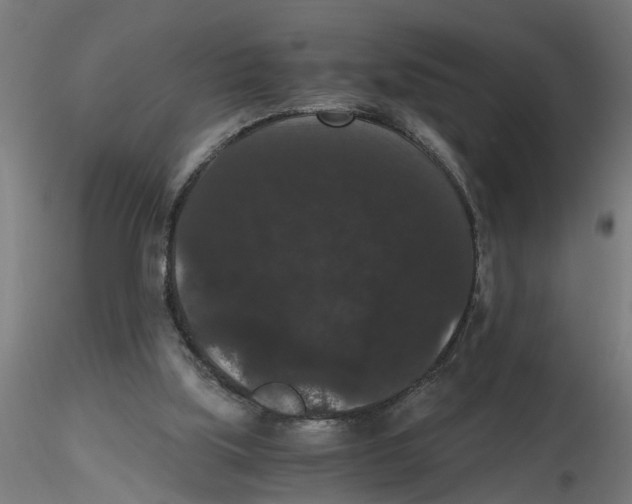 X0000116480059201001061128