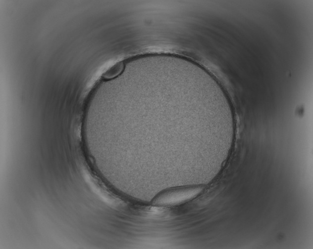 X0000116480060201001061128