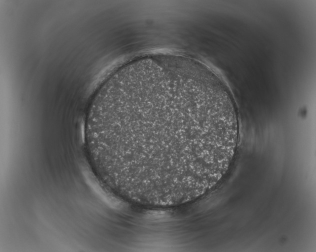 X0000116480061201001061129