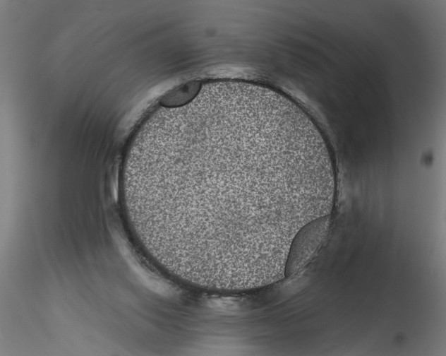 X0000116480062201001061129