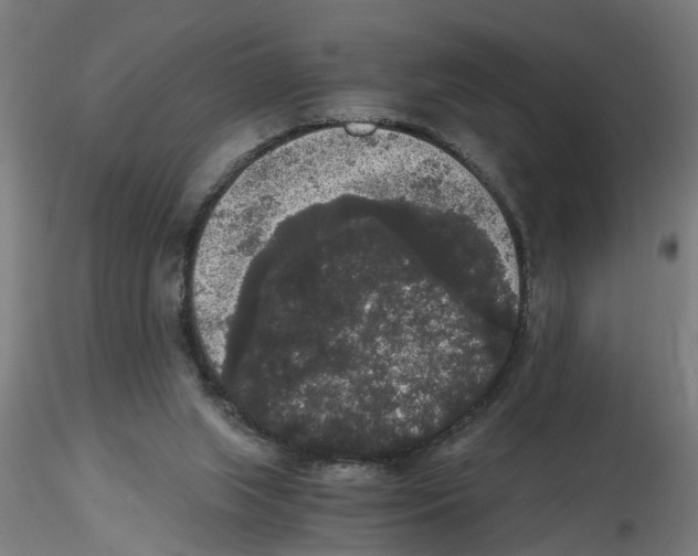 X0000116480063201001061129