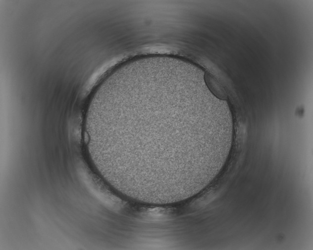 X0000116480064201001061129