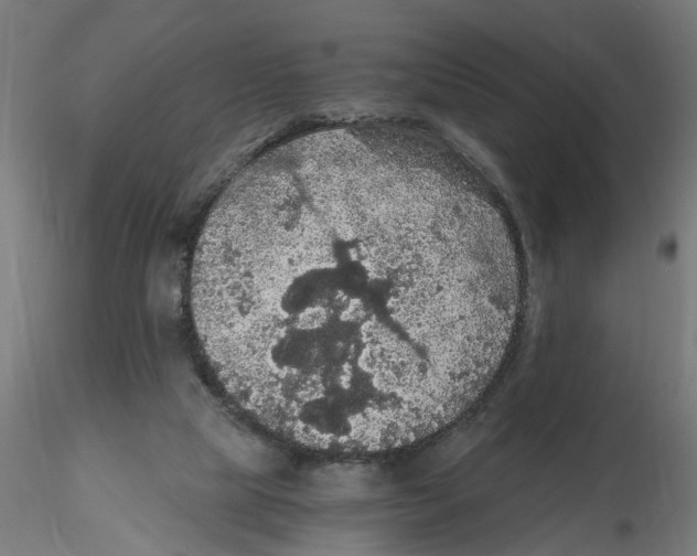 X0000116480065201001061129