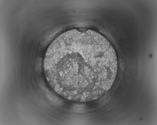 X0000116480066201001061129