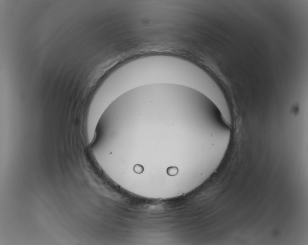 X0000116480068201001061129