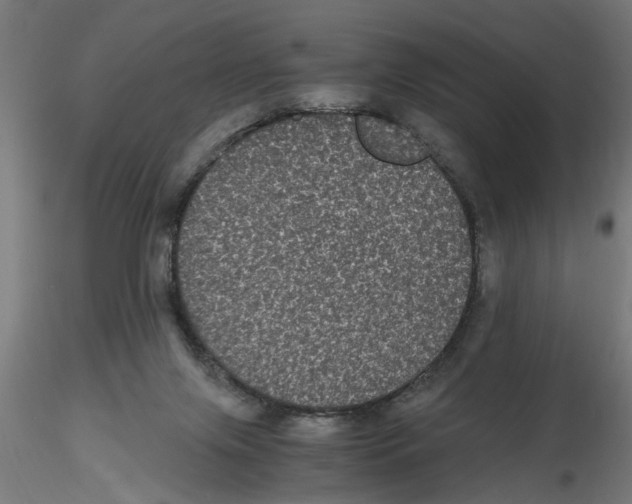 X0000116480071201001061129