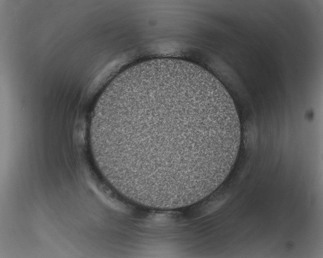 X0000116480072201001061129