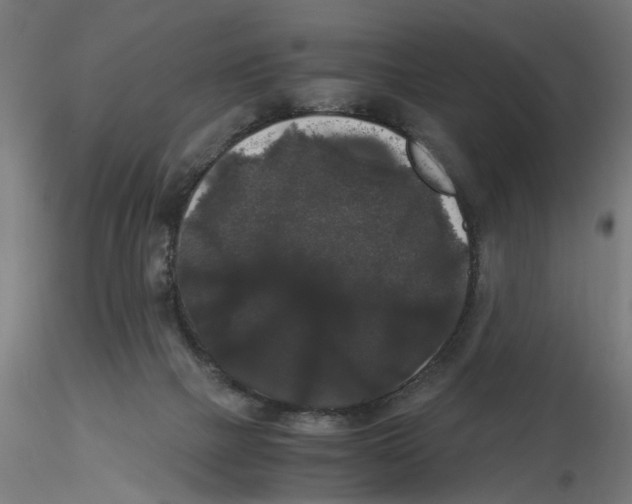 X0000116480073201001061129