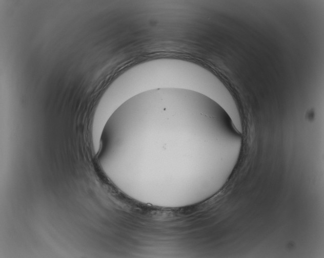 X0000116480074201001061129