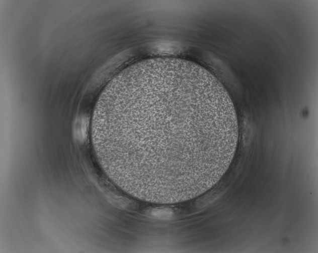 X0000116480075201001061129