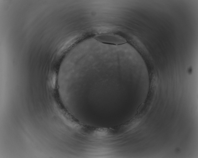 X0000116480076201001061129