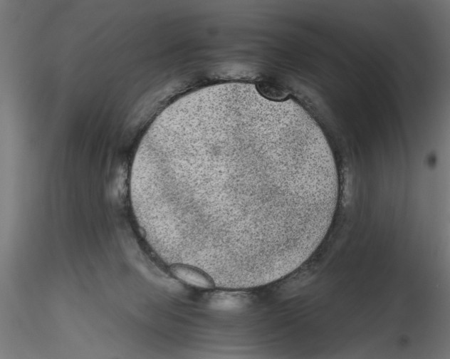 X0000116480077201001061129