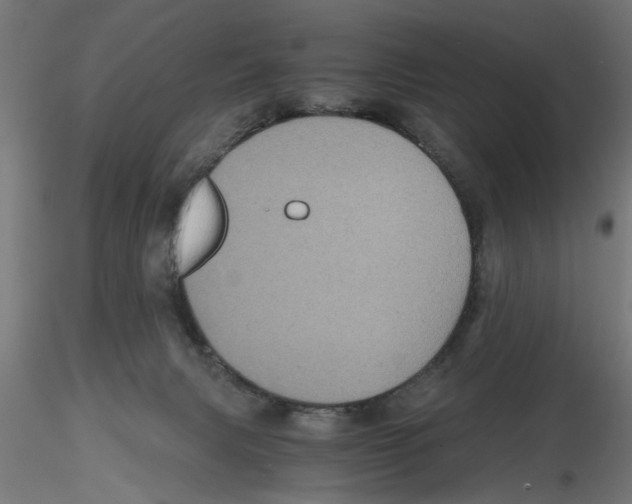 X0000116480079201001061129