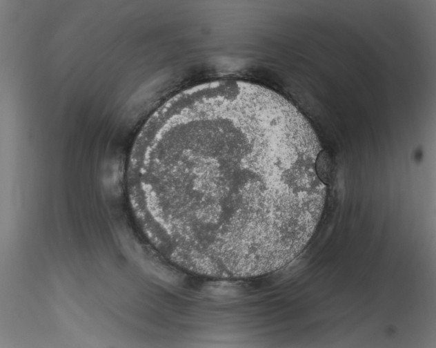 X0000116480082201001061129