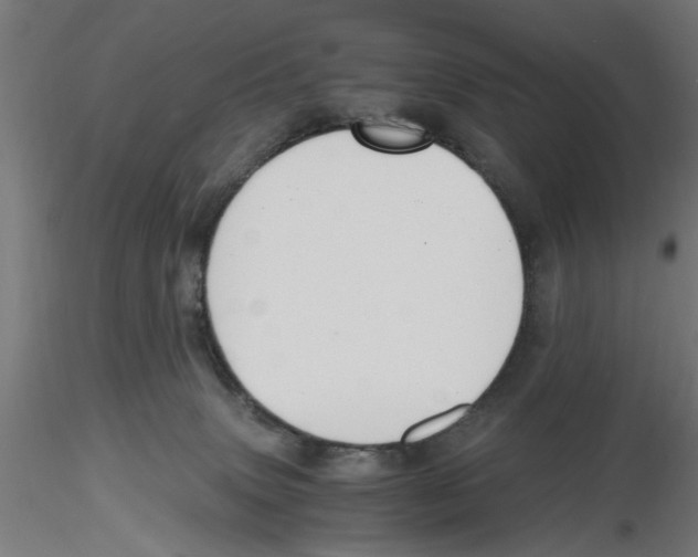 X0000116480083201001061129