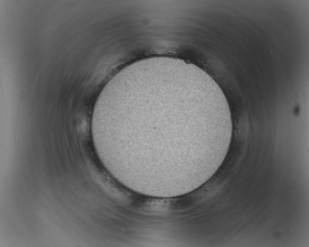 X0000116480084201001061129