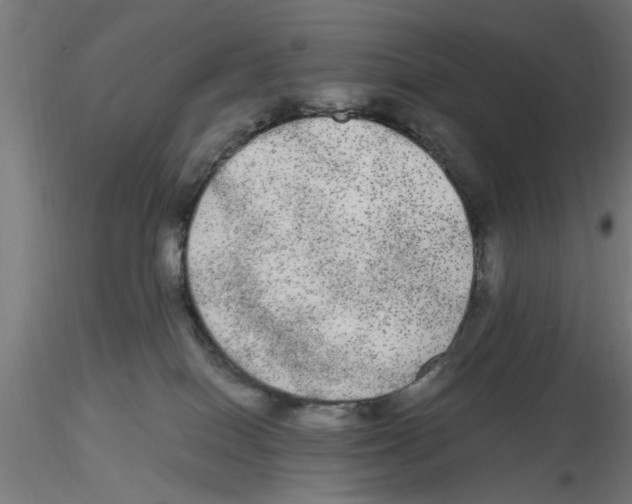 X0000116480086201001061129