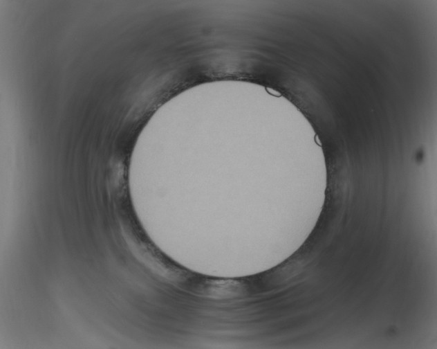 X0000116480087201001061129