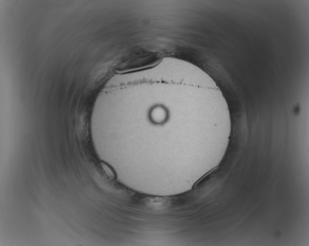 X0000116480088201001061129