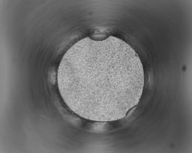 X0000116480090201001061129