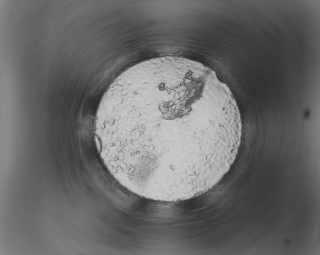 X0000116480093201001061129