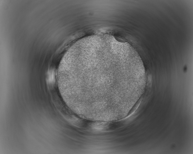 X0000116480094201001061129