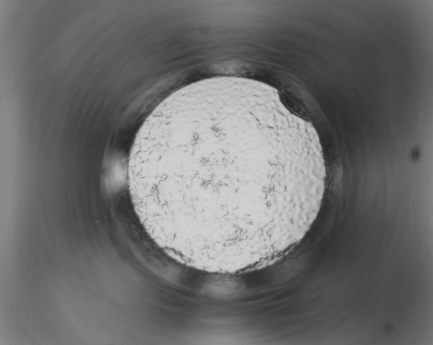 X0000116480095201001061129