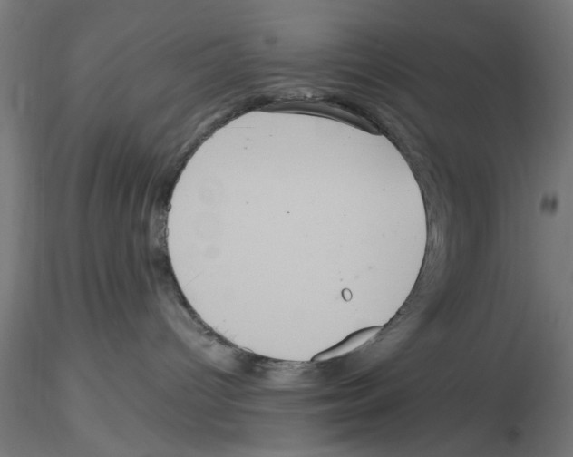 X0000116480096201001061129