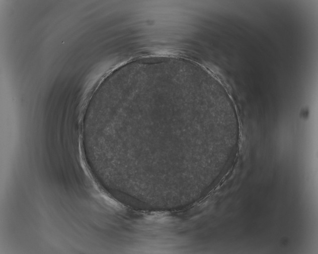 X0000116480097201001061128