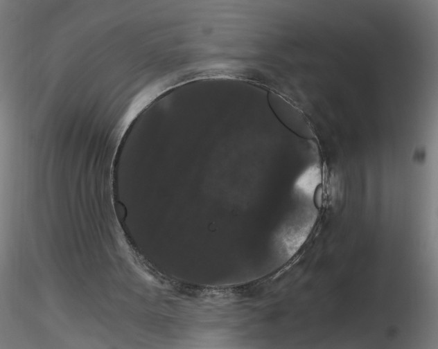 X0000116480099201001061128