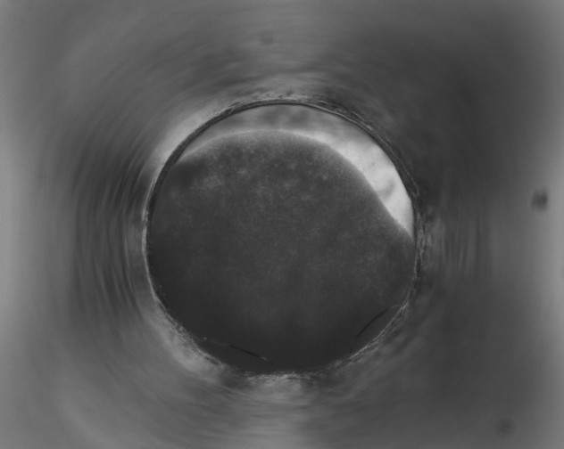 X0000116480100201001061128