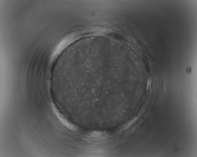 X0000116480101201001061128