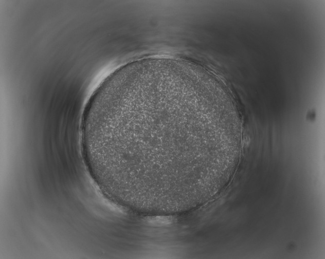 X0000116480102201001061128