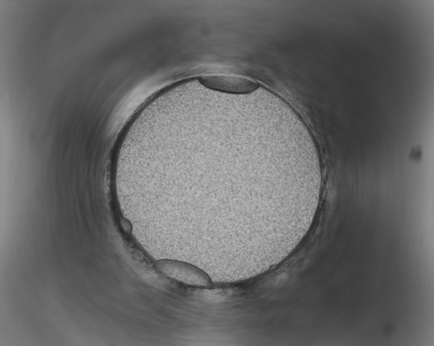 X0000116480103201001061128