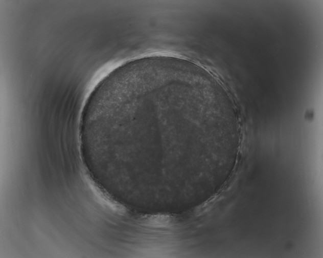 X0000116480104201001061128