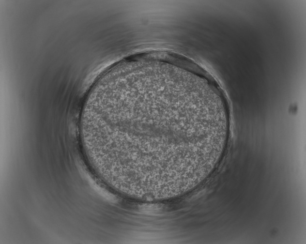 X0000116480105201001061128