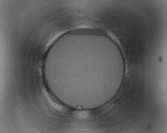 X0000116480106201001061128