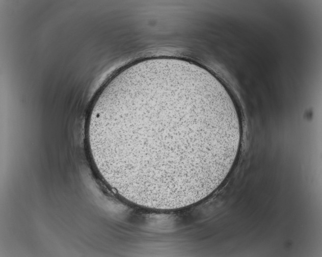 X0000116480107201001061128