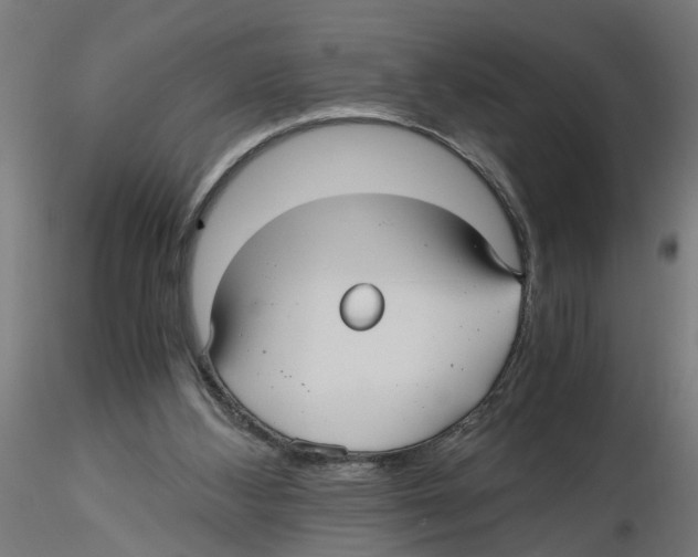 X0000116480108201001061128